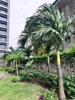 Kaizen cozy condo at Red Residences Makati - B&B Manila