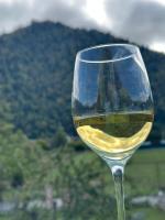 Borjomi Relax Time - Bed and Breakfast Bordzjomi