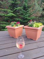 Lini Guest House - B&B Nīca