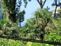 Paradise Garden - B&B Gonio