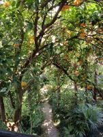 Paradise Garden - B&B Gonio