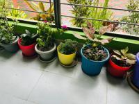 JAJABAR Homestay - Chambres d'hôtes Dum Duma