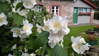 Altes Backhaus Montenau - Bed and Breakfast Amel