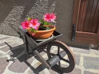 Orchidea Romantic Apartment Valvestino - B&B Capovalle