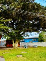 Apartamento aconchegante próx ao Treichel - B&B Pelotas
