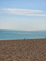 Charming Victorian one-bedroom flat in a prime location, just moments from the seafront, the i360, and the train station - Chambres d'hôtes Brighton