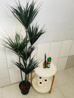 Koshoka Home - Ferienwohnung Ongwediva