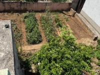 Apartmani Tratinčica - Chambres d'hôtes Vodice