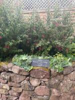 Little bridge cottage - Ferienwohnung Lea Marston