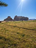 Palm Suites - B&B Al-`Ula