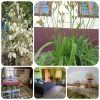 Póni Kuckó Vendégház és Minifarm - B&B Hosszúvölgy