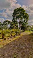 Villa Fénix Arenal - Chambres d'hôtes La Fortuna
