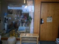 Art Turtle - B&B Longjing