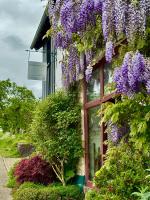 Ferienwohnung am Kräutergarten im Hunsrück 50qm - B&B Norath