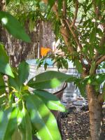Gate Away B&B Units - המקום באל רום - Ferienwohnung Al Rūm