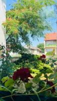 Téesz Vendégház - B&B Zalaháshágy