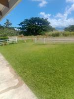 Sky view - Bed and Breakfast Savusavu