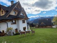 Tatra Lodge Apartamenty z widokiem na góry - Ferienwohnung Koscielisko