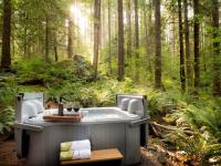Treetop Hideaway, Sleeps 2 - B&B Glacier