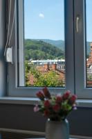 Apartman Bubili - B&B Vrnjačka Banja
