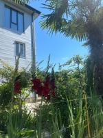 Shine Hill შაინ ჰილი - Bed and Breakfast Ts’insvla
