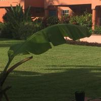 Cool Premier Apts. - Airport/SGU - B&B Blow Hole