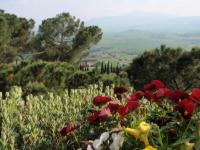 La Piccola Baita - Bed and Breakfast Camporbiano