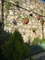Guest House Panda - B&B Kutaisi
