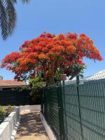 parking terraza jumbo by stay in gran canaria - B&B Playa del Ingles