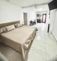 LOFT cerca estadio Akron chivas - Ferienwohnung Guadalajara