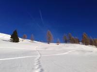 Appartamento Saslonch 21 - Bed and Breakfast