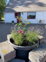 Semesterhus i Viken by Kullahills - Bed and Breakfast Viken