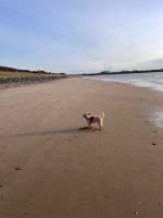 Best location near the beach apartment - B&B Fovrfelt