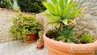 Casa Brava - Friendly - Big Terrace - 200m Beach - Bed and Breakfast Burgau