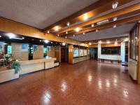 Gran Baita apartament on the slopes - B&B Tonale