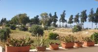 Σιγά Σιγά Πολης Sigá Sigá Polis - Bed and Breakfast Pólis