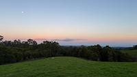 Otway Junction Motor Inn - Bed and Breakfast Lavers Hill