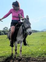 Almaz Guesthouse - B&B Jangy-Aryk