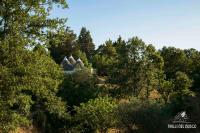 Trulli Del Bosco - Chambres d'hôtes Alberobello