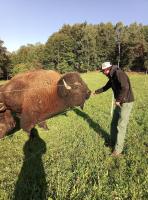 Caldisfarm Bison Lodge I Charmante Ferienwohnung im Landhausstil - Chambres d'hôtes Kašperské Hory