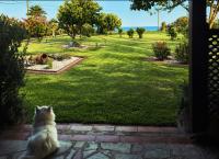 Nisaki Seafront Villa - Bed and Breakfast Kalamítsi