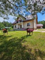 Agroturystyka Pod Sosnami w Atenach - B&B Nowinka