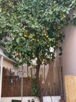 Summer Retreat Ground floor - Bed and Breakfast Agios Nikolaos