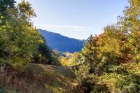 Front-Row Smoky Mountain Views - Mountain View, Fire Pit, Grill - Chambres d'hôtes Sevierville