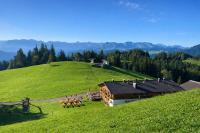 Alpengasthof Brüggele - B&B Alberschwende