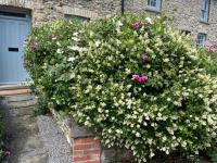 4 Bed in Llandovery oc-90307 - B&B Myddfai
