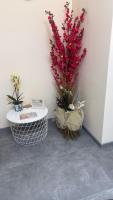 Hulin guesthouse - B&B Roma