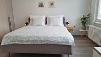 Apartmán Vajanského - Skalica - B&B Skalica