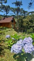 Chalé dell`Amore - B&B Urubici