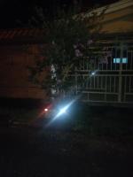 Cony's house - B&B Cartago